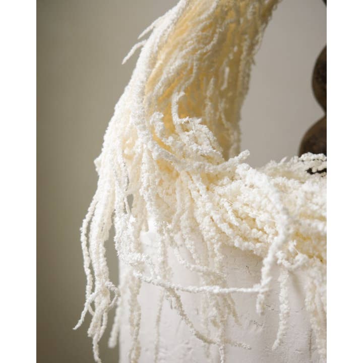 Twenty Third by Deanne – wholesale Dried/pressed flowers – Dried Amaranthus (White)