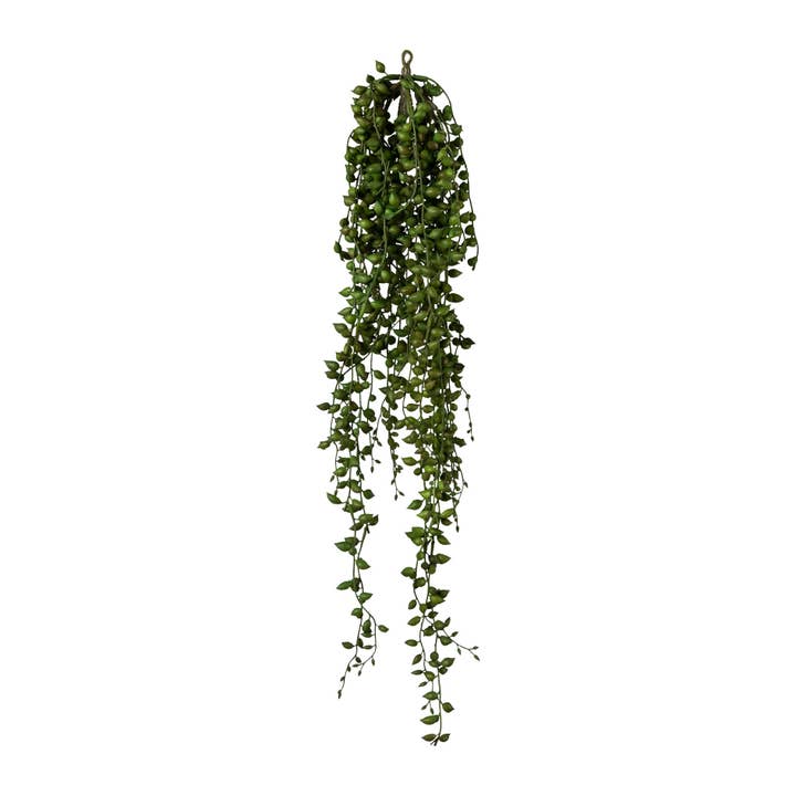 Pingente Senecio, 88cm, verde por atacado de GASPER GmbH