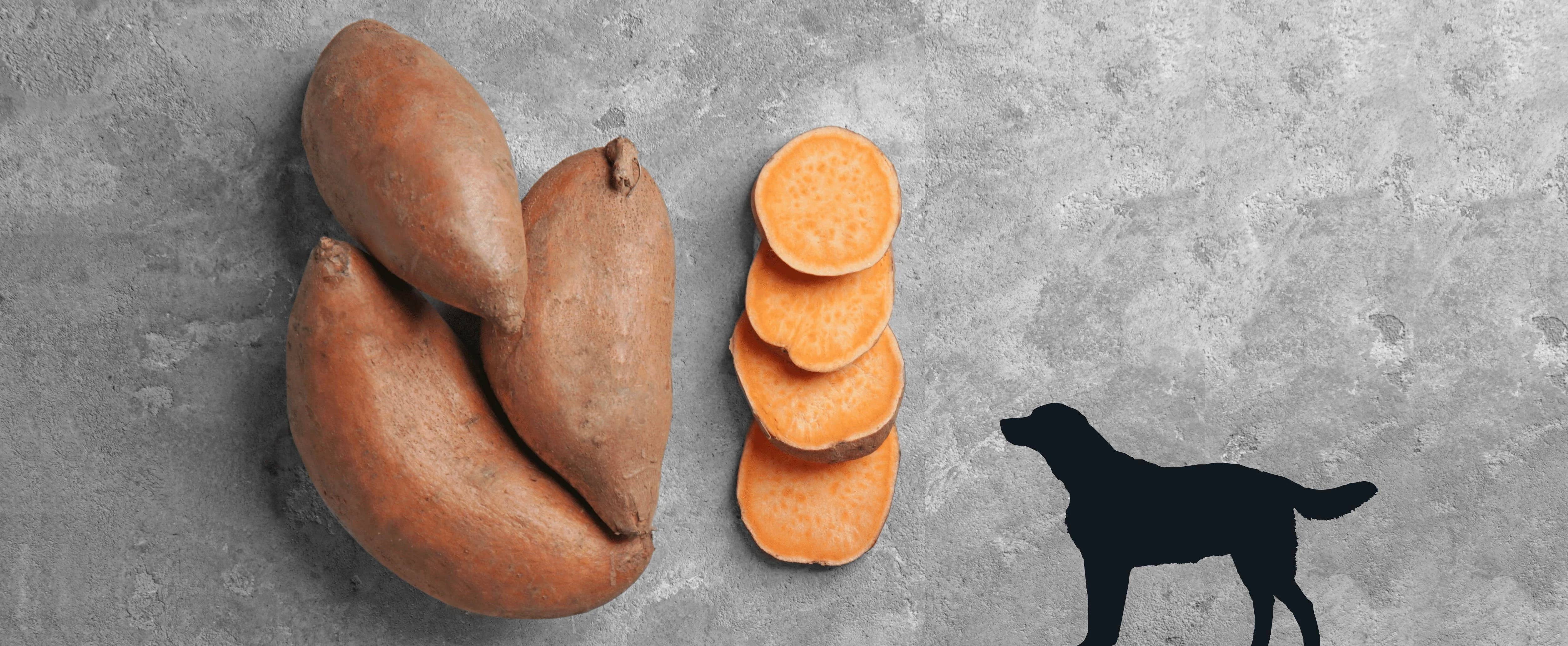 Live Pawsitive - Wholesale Pet Treats - Dog - Sweet Potato Dog Chew2