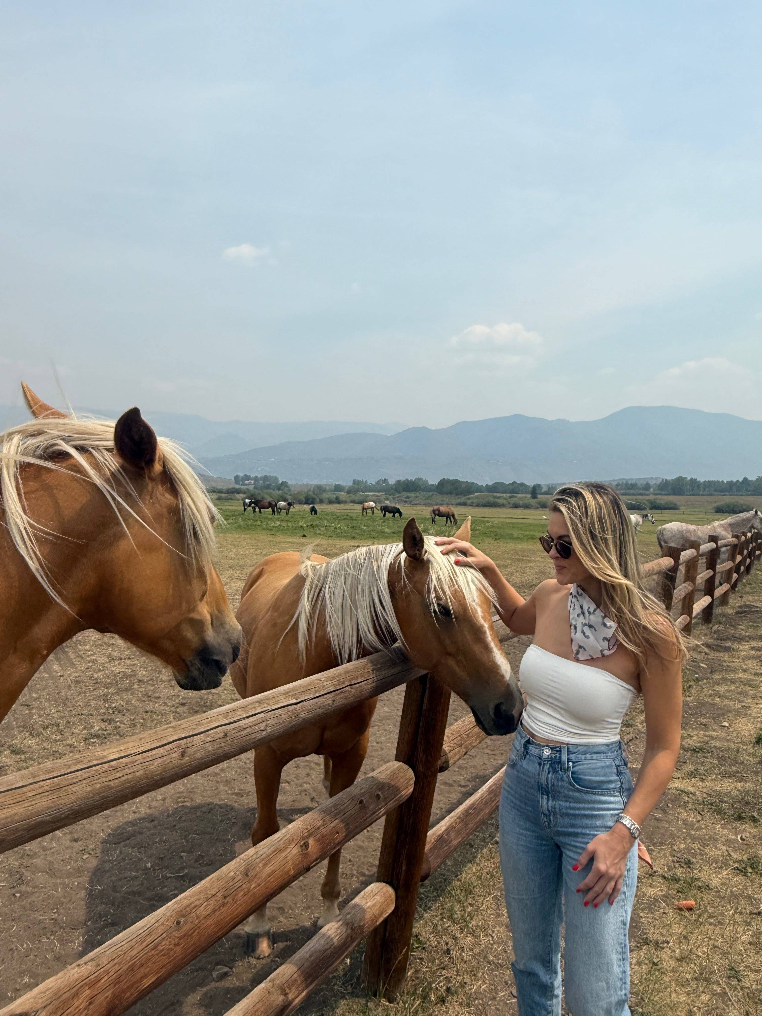 Eighteen Forty Two - Wholesale Scarf - Women's - Guns Scarf2