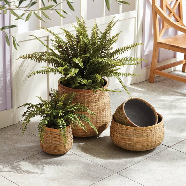 Natural Wovenshire Low Bowls for wholesale on Faire