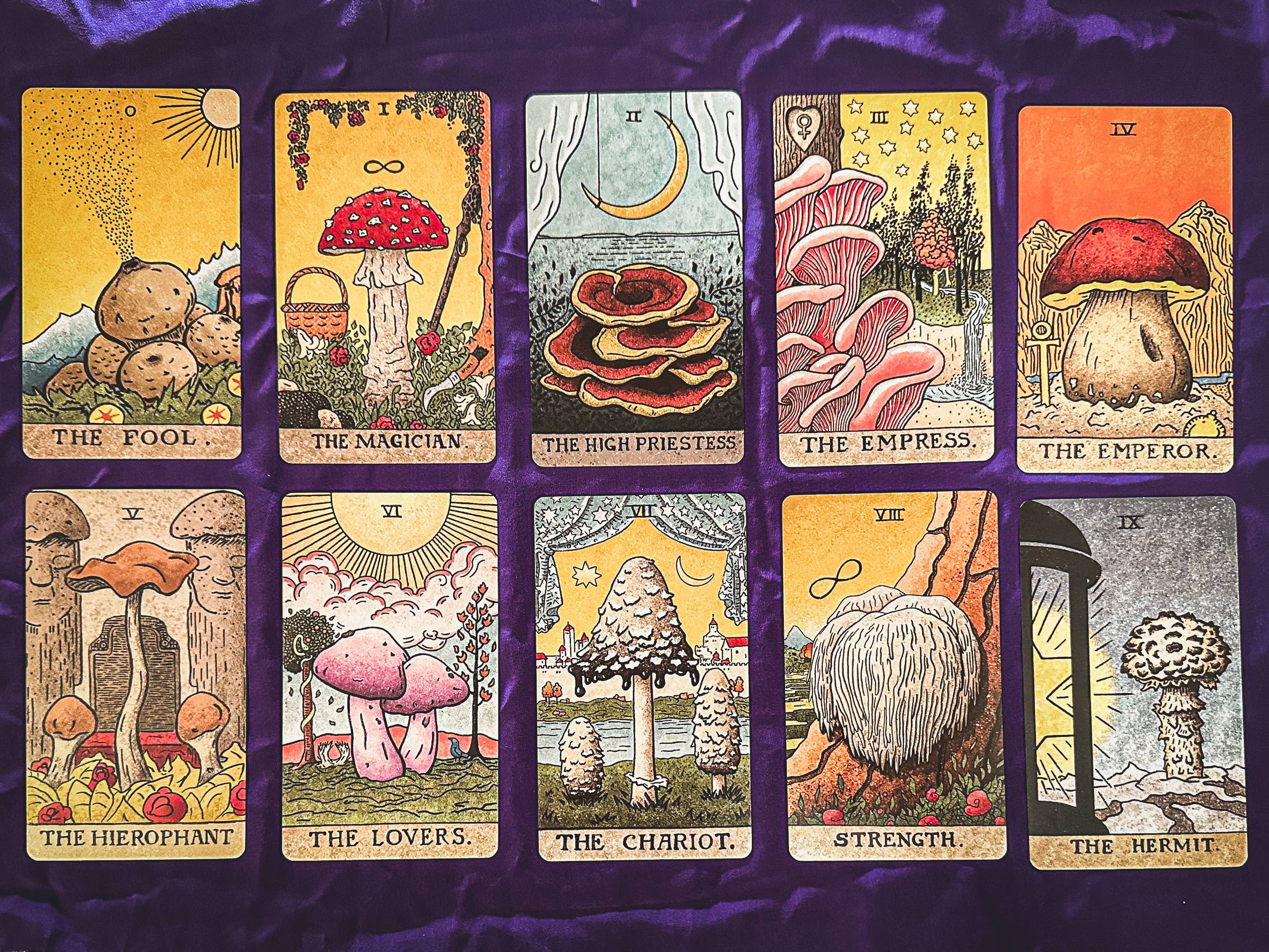 The Fungi Arcana - Vente Cartes de tarot - The Mushroom Hunter’s Arcanum : jeu de tarot de 78 cartes sur le thème des champignons5