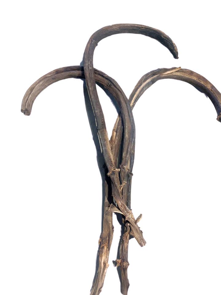 Bananenstäbchen für den Großhandel von Botanico Ltd.