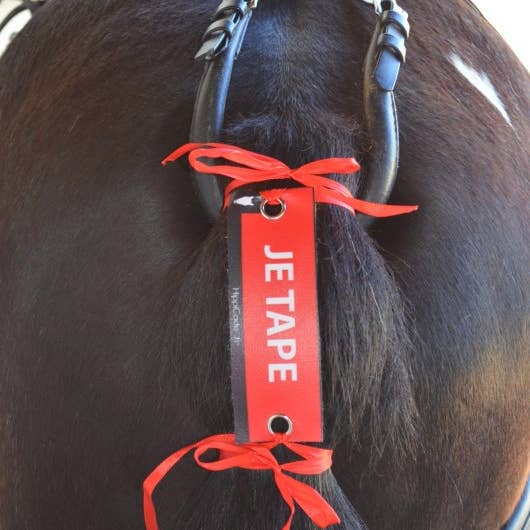 HippiCode® Carnations I TYPE for wholesale by AniCode