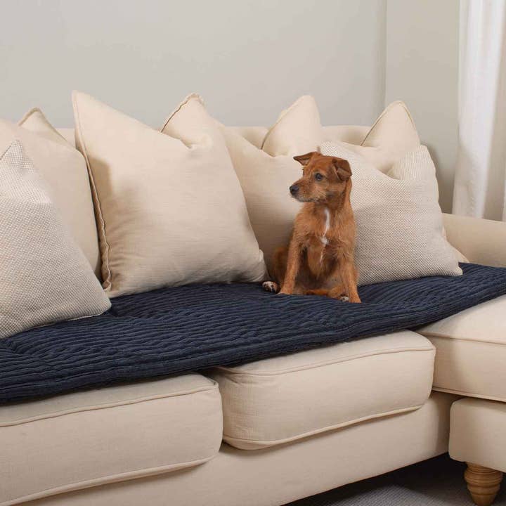Sofa Topper in Navy Essentials Plush by Lords & Labradors for wholesale on Faire
