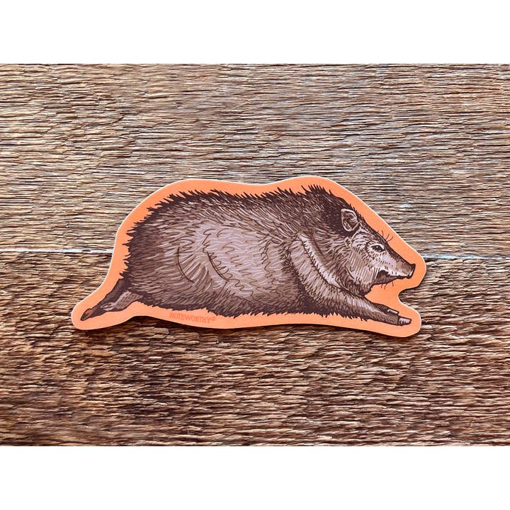 Noteworthy Paper & Press - Wholesale Sticker - Javelina Sticker1
