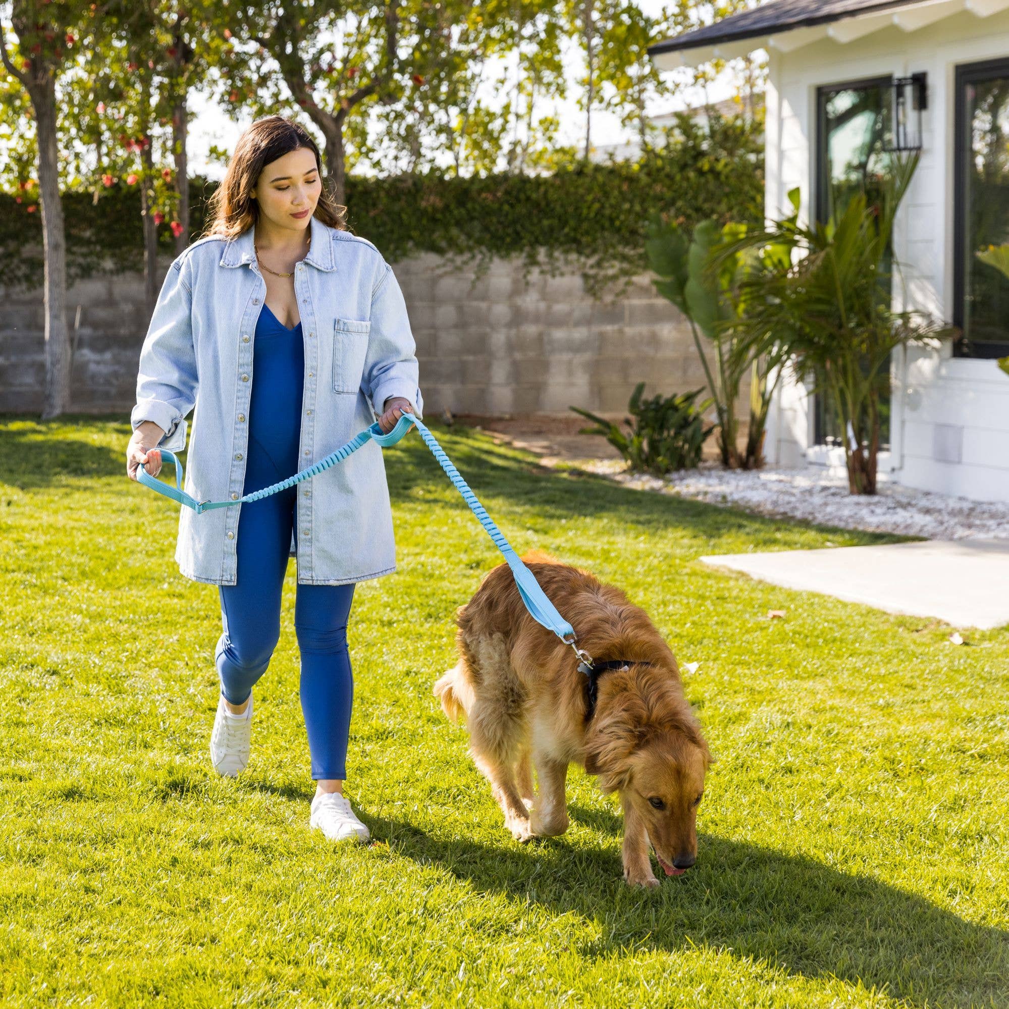 Shed Defender - Wholesale Pet Leash - Dog - Shock Absorbing Bungee Leash w/ Three Padded Handles 4-6 ft.3