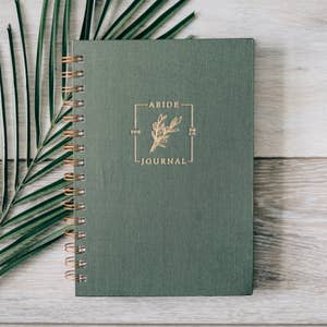 Wholesale Big Life Journal - Daily Edition (Green Cover) for your store -  Faire
