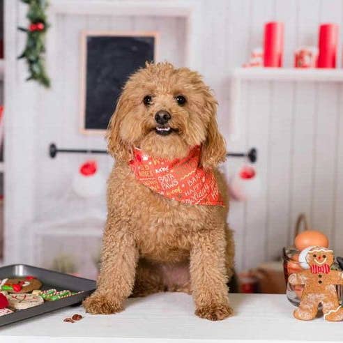 BibbyBubby - Wholesale Pet Bandana - Dog - Santa Paws Dog Bandana (Holiday, Xmas, Christmas)1