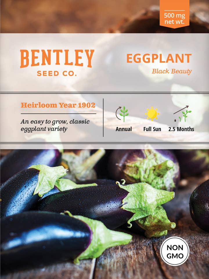 Eggplant, Black Beauty Seed Seed Packets for wholesale by Bentley Seed Co.
