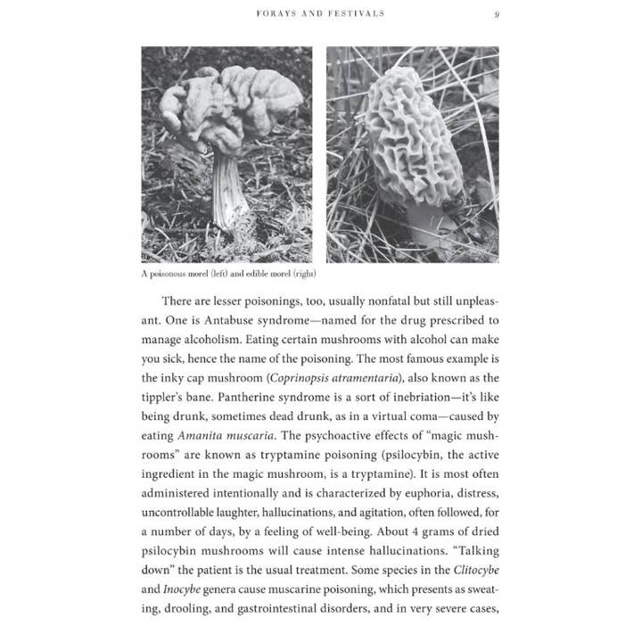 Microcosm Publishing & Distribution - Wholesale Book - Adult - Mycophilia: Revelations from the Weird World of Mushrooms