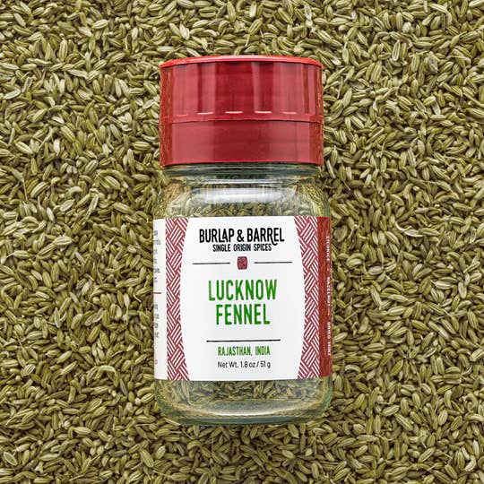 Burlap & Barrel - Wholesale Dried Spice - Lucknow Fennel - Single Origin Spice & Seasoning