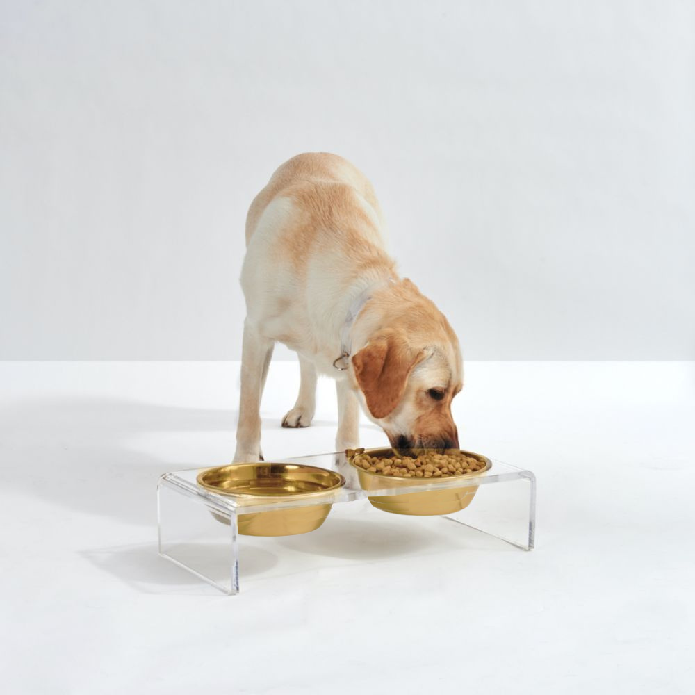 Hiddin - Wholesale Pet Bowl - Cat/Dog - Small Gold Feeder11