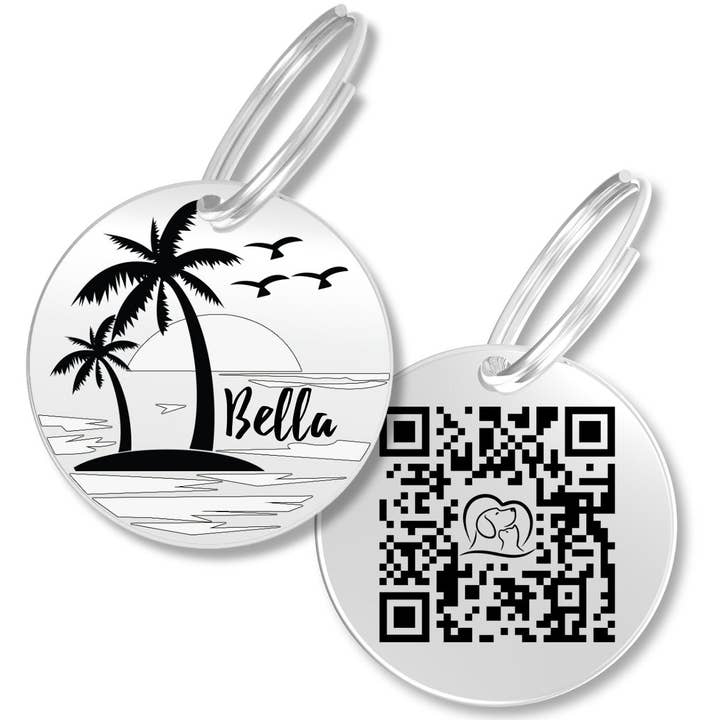 Gepersonaliseerde hondenpenning met QR-code zorgt altijd voor de veiligheid van uw huisdier (zilver, strand) voor wholesale door PawFurEver