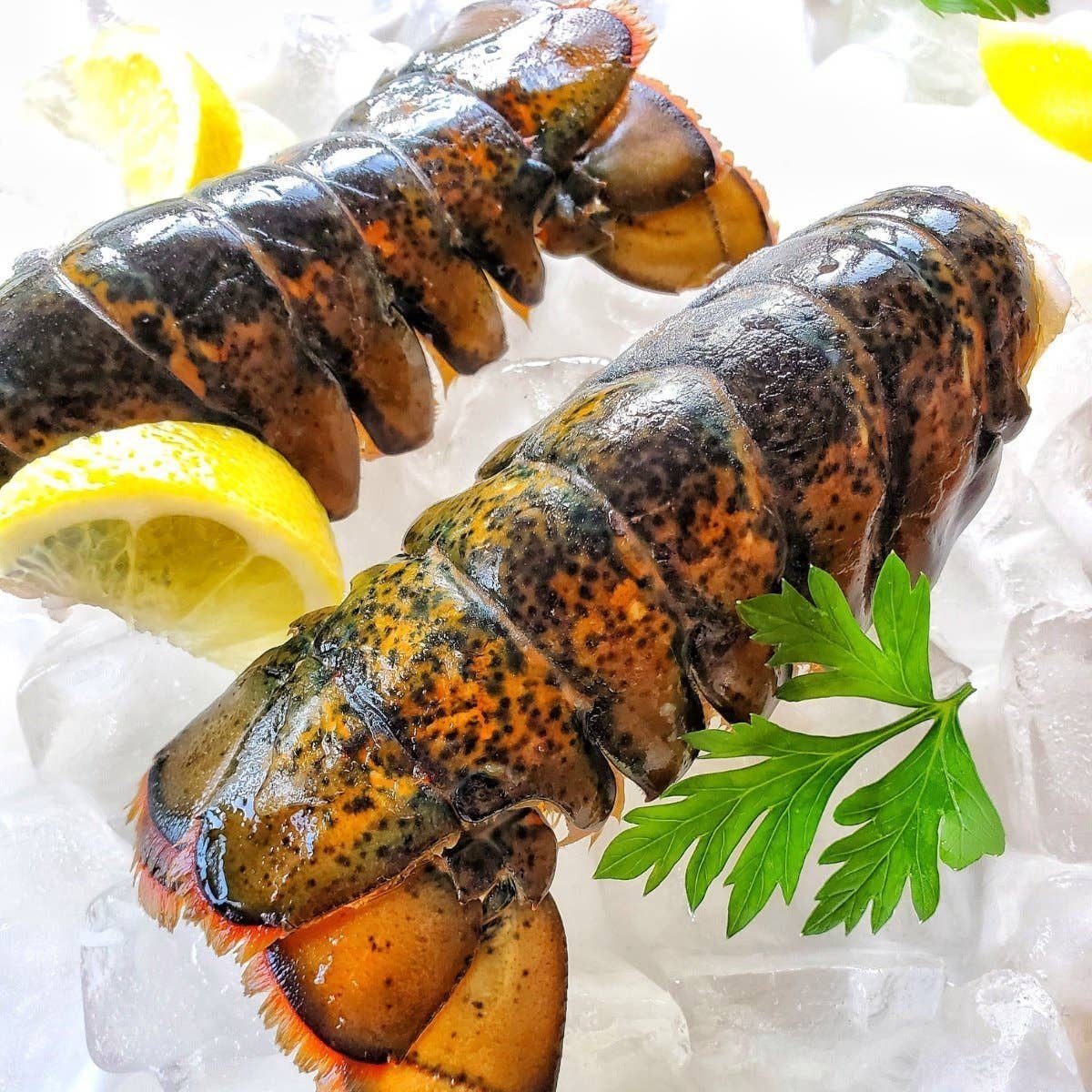 All Fresh Seafood - Wholesale Fish/Seafood - Lobster Tails, Maine - 6/7 OZ / 1 LB0