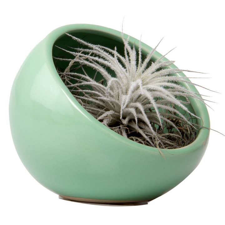 Half Moon Indoor Plant Pot For Succulents for wholesale by Chive