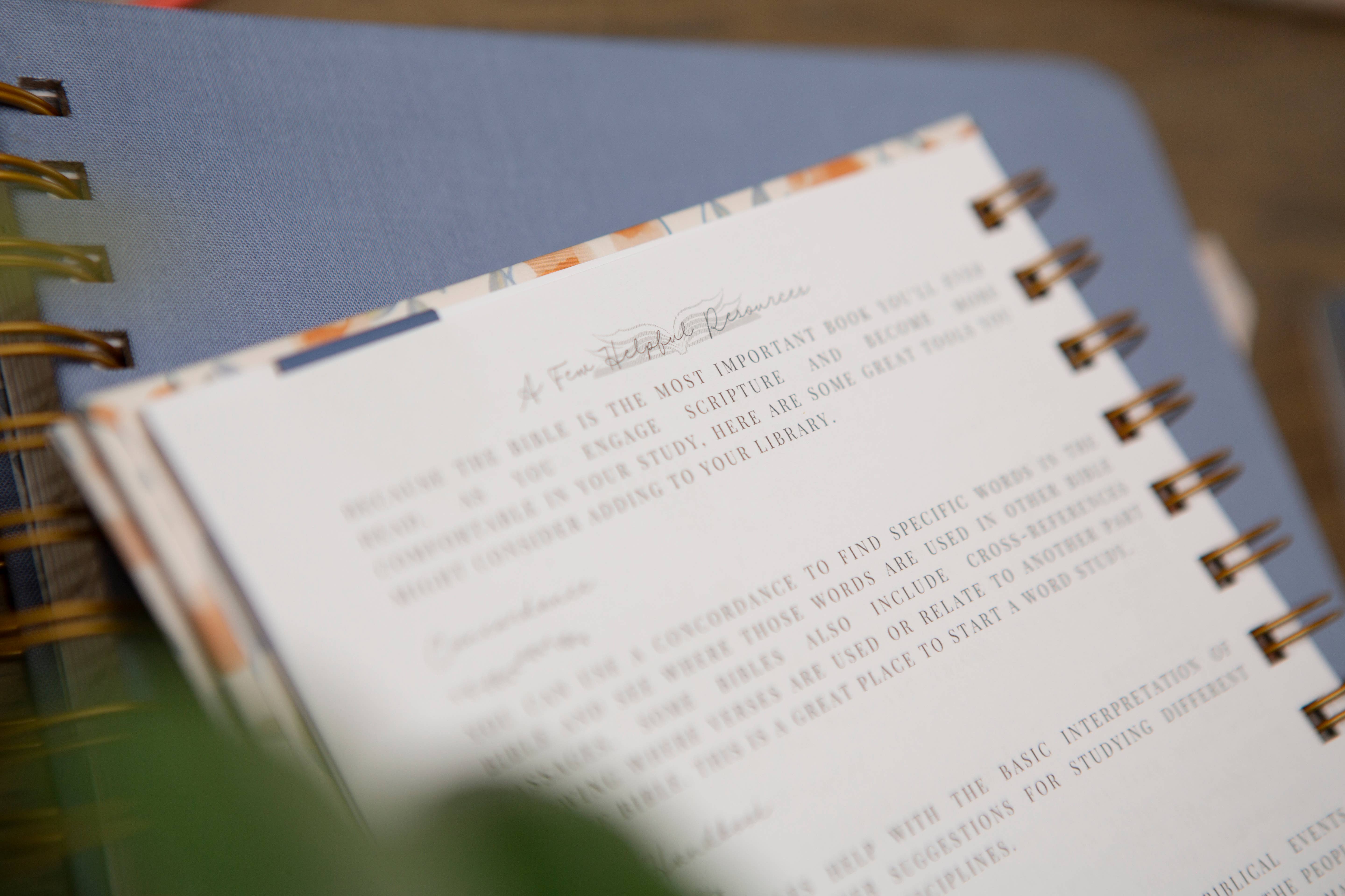 Chosen & Cherished - Wholesale Journal/Diary - Bible Study Journal | Verse Mapping Journal6