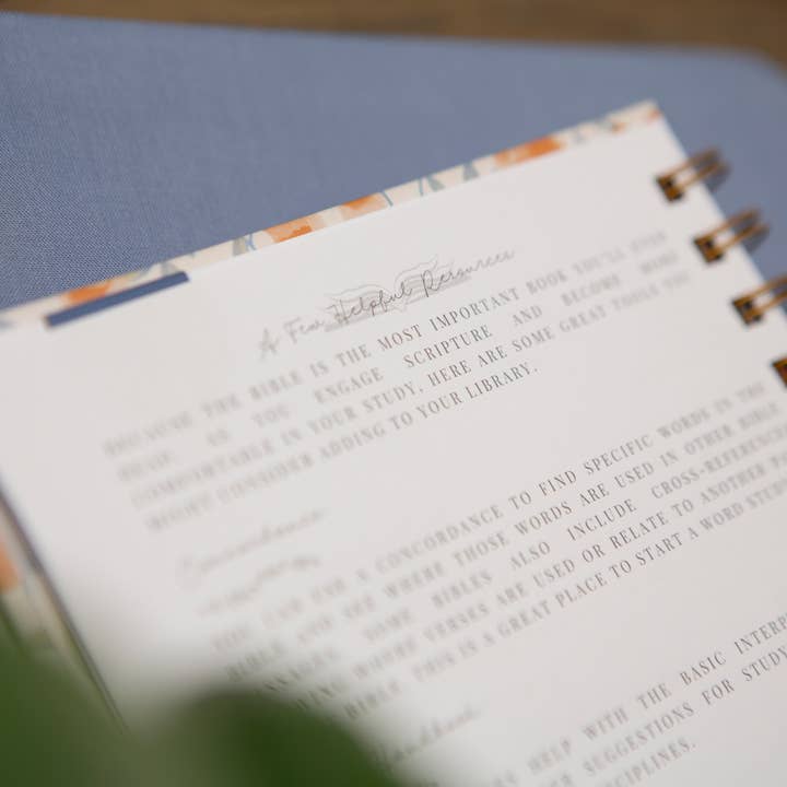 Chosen & Cherished - Wholesale Journal/Diary - Bible Study Journal | Verse Mapping Journal6