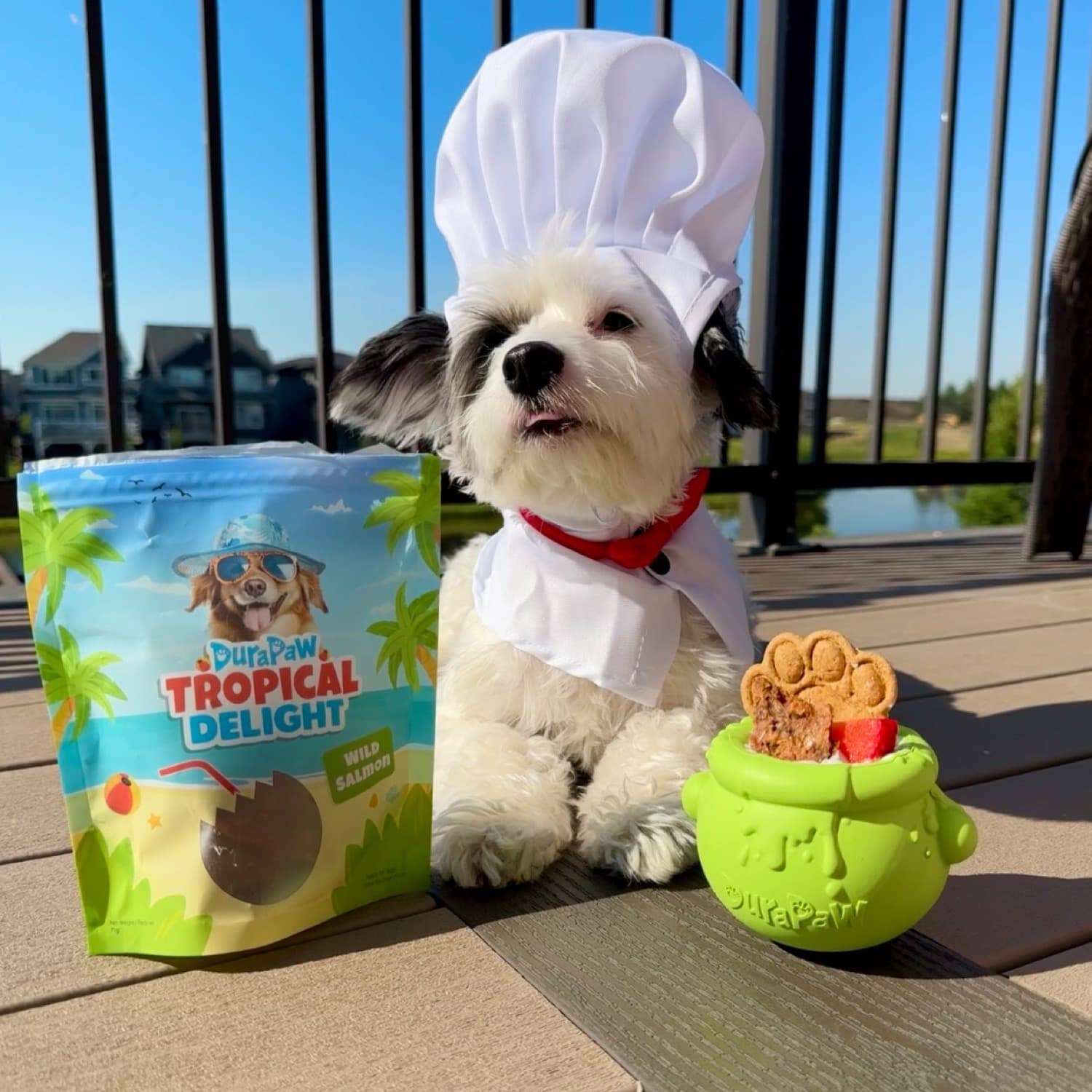 DuraPaw - Wholesale Pet Bowl - Cat/Dog - DuraPaw Cauldron Chewer Enrichment Toppler Bowl5