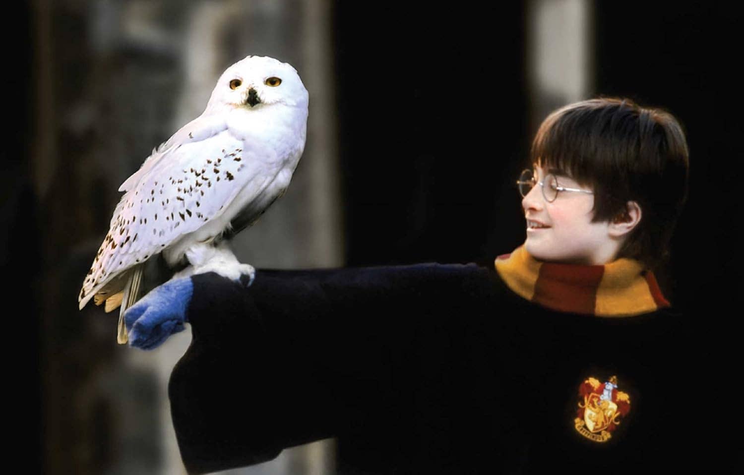 Cardshouse - Wholesale Postcard Set - Harry Potter: The Postcard Collection4