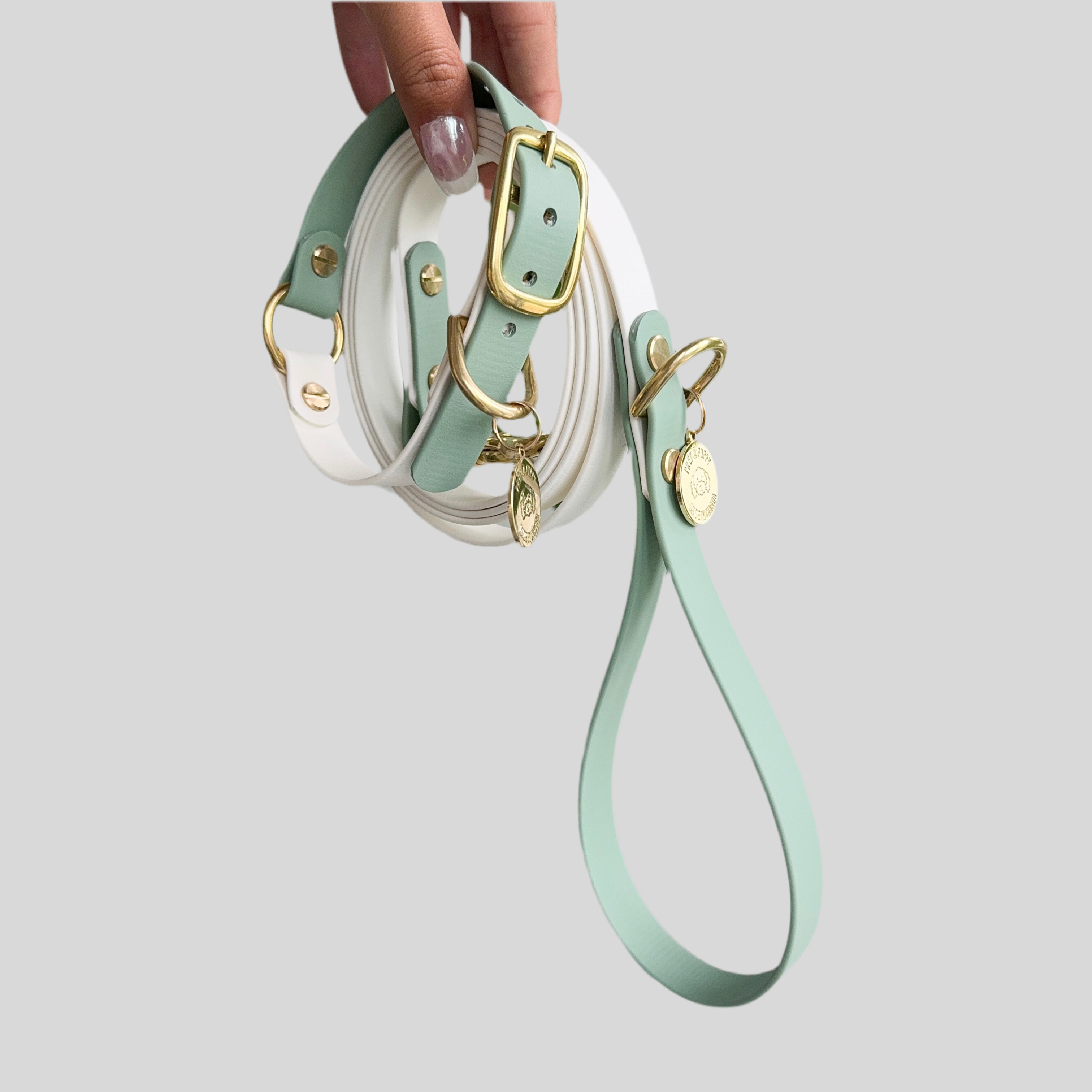 PRÊT-À-PUPPY - Vente Collier – chien - Collier original : créez le vôtre20