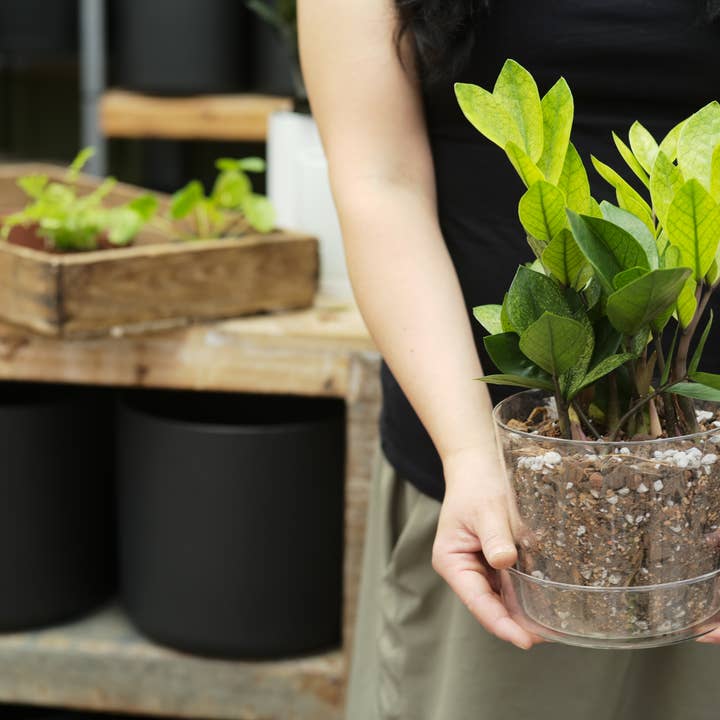 Sol Soils - Wholesale Planting/Potting Soil - Bulk Soil - Houseplant Chunky Mix (7 Gal Box)7