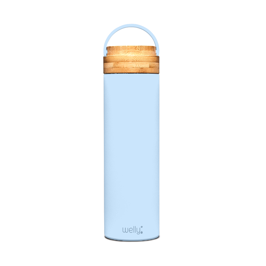 Welly - Wholesale Water Bottle - Traveler 20oz19