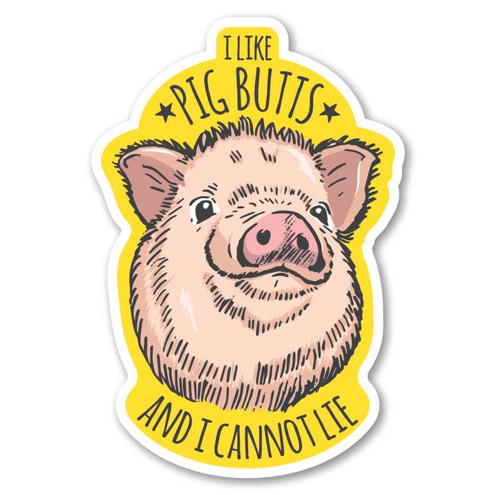 Coaster - I like Pig Butts and I Cannot Lie for wholesale by Morris Magnets