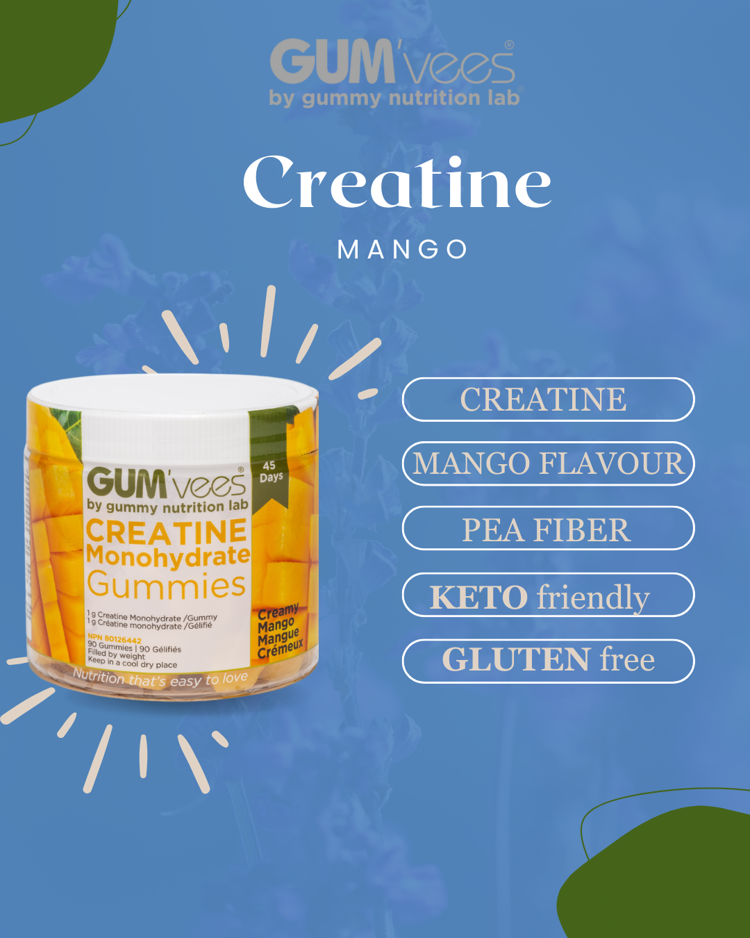 GUM'vees - Vendita all'ingrosso Vitamine/integratori orali - Gummies alla creatina - Barattolo da 90 caramelle7