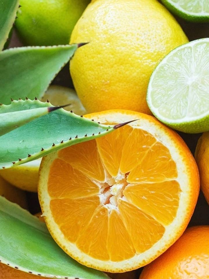 tranches de fruits pour la vente par Wylie Candle Co.