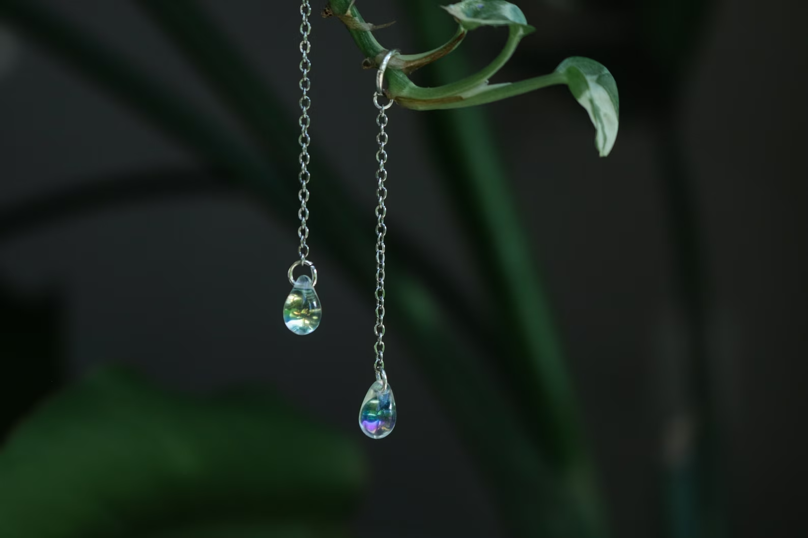 Cosmic Crow - Wholesale Ornament - Glass Drop Plant Charm, Pack of 5 | House Plant Decor Hook2