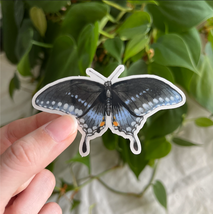 Lauren Noel Studio - Wholesale Sticker - Spicebush Swallowtail Butterfly Sticker1