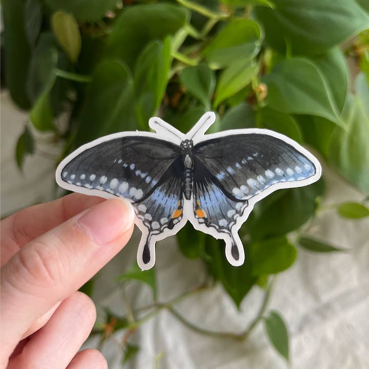 Lauren Noel Studio - Wholesale Sticker - Spicebush Swallowtail Butterfly Sticker1