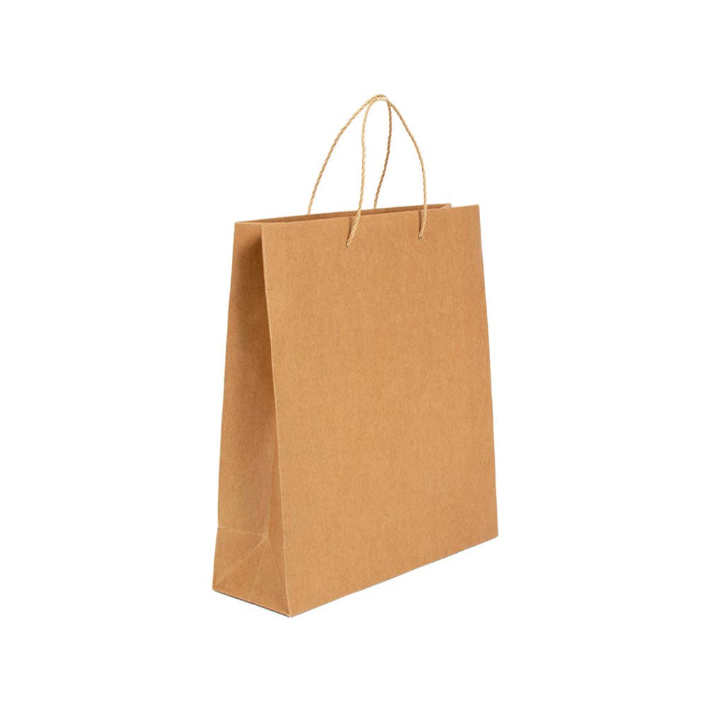 Havana Luxury Kraft Avana Paper Bag (Paper Handle) for wholesale on Faire5