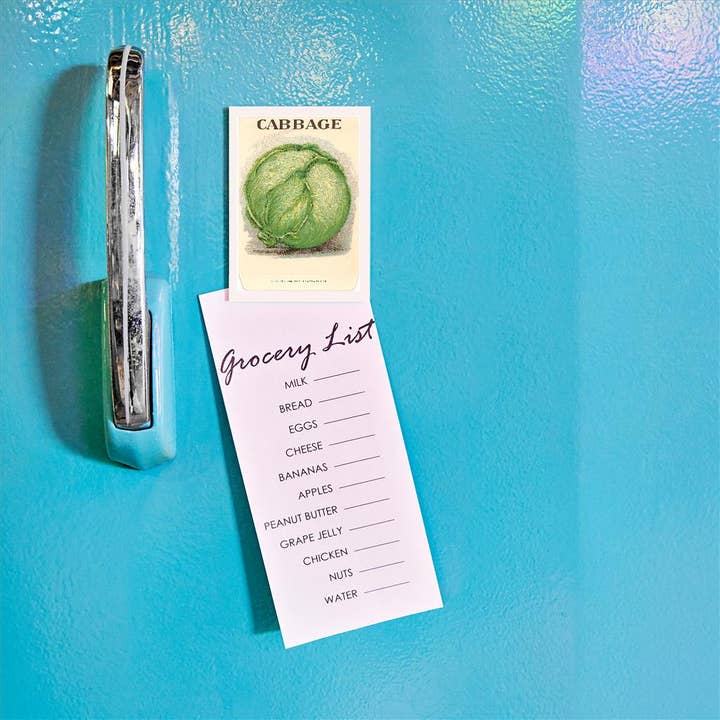 Found Image Press - Wholesale Magnet - Magnet FR-82 Cabbage, Illustration1