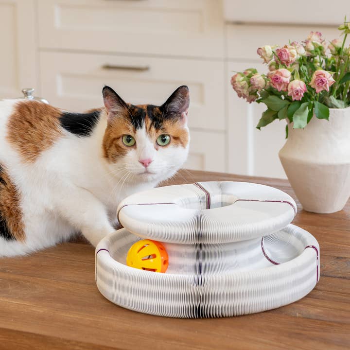 Olchi - Wholesale Pet Toy - Cat - WIGGLEE MAGIC BALL TRACK (CAYA-TO9520)