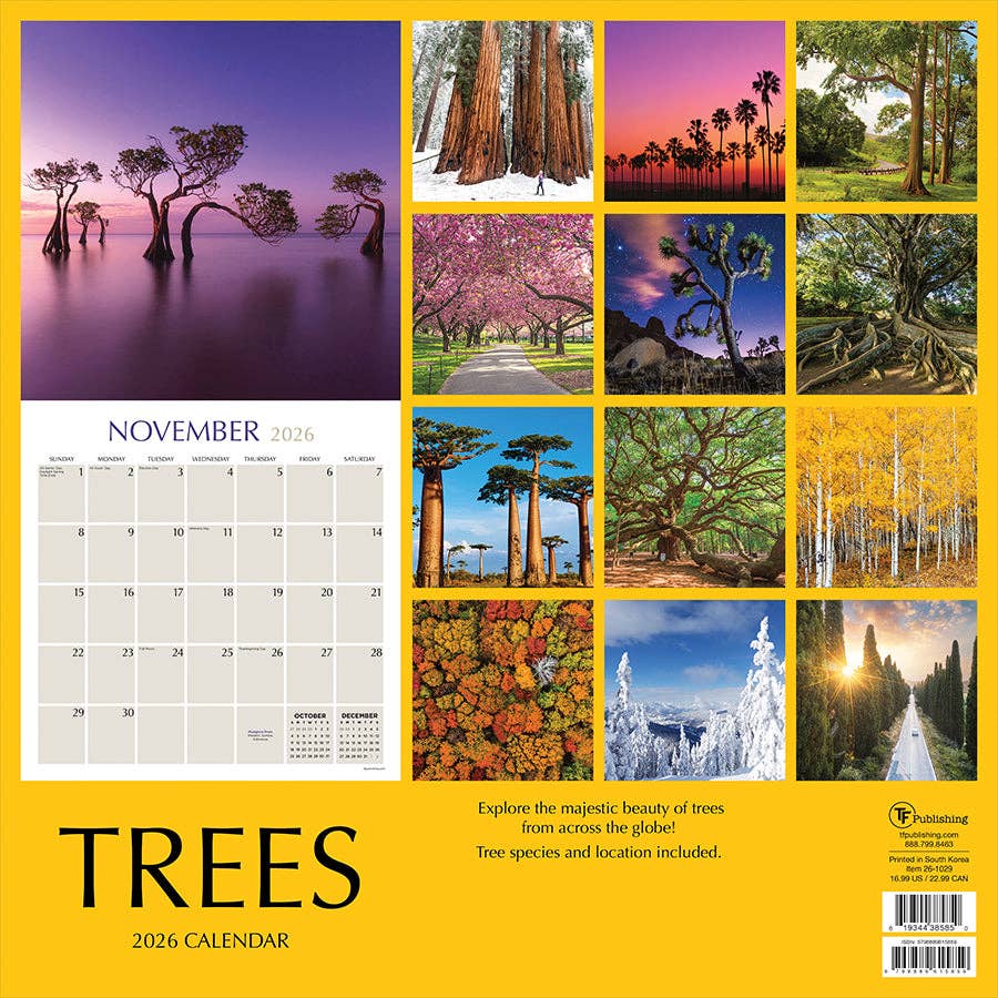 TF Publishing - Paper Goods - Vente Calendrier - Calendrier mural des arbres 20264