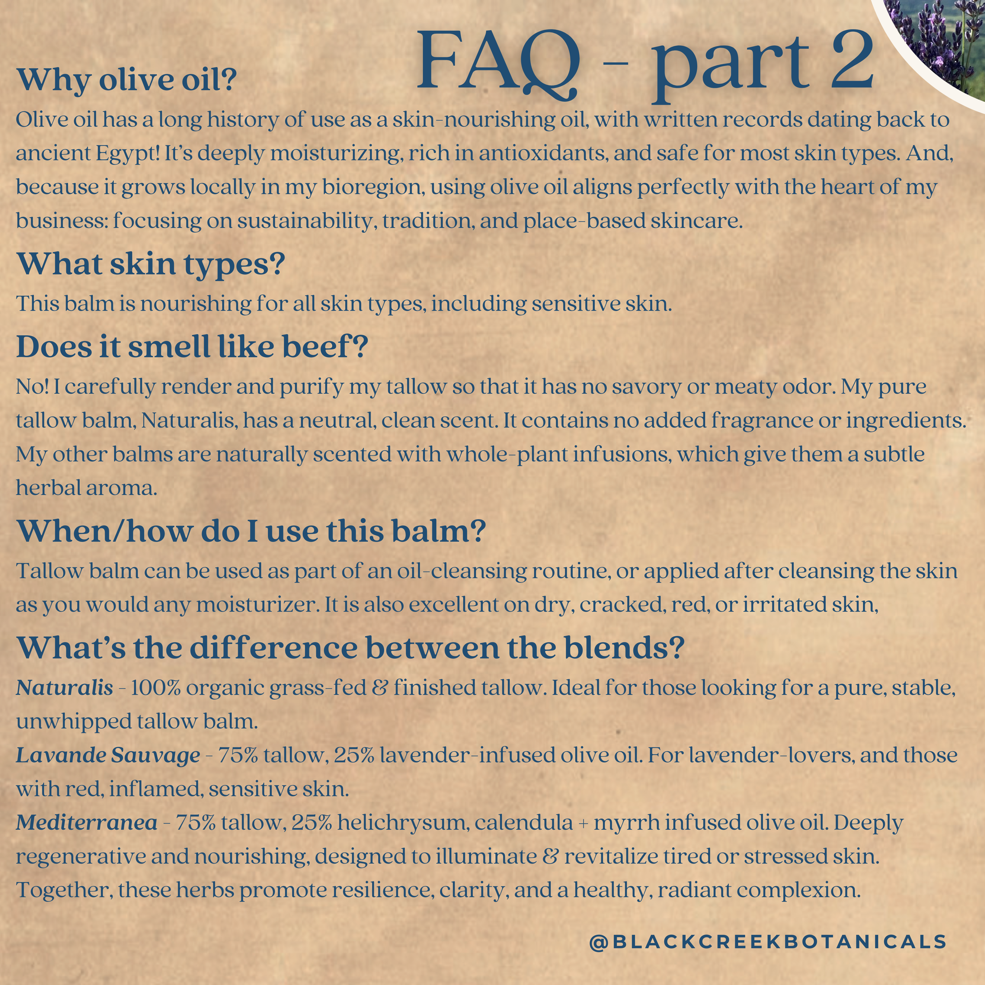 Black Creek Botanicals - Wholesale Facial Moisturizer - Organic Grass-Fed Tallow Balm: Myrrh, Calendula, Helichrysum3