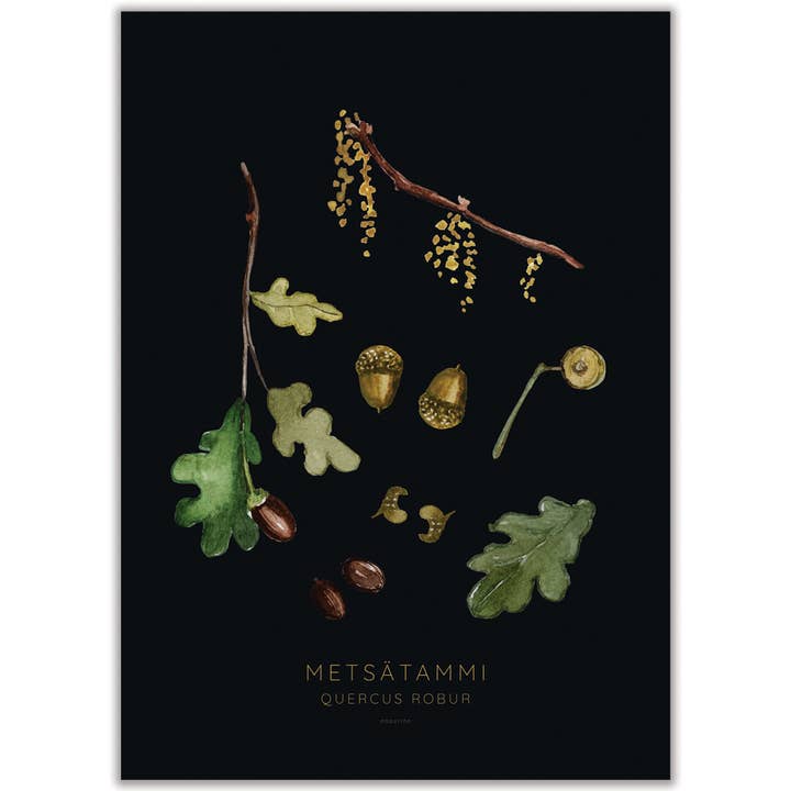 Print: Oak for wholesale by Papurino