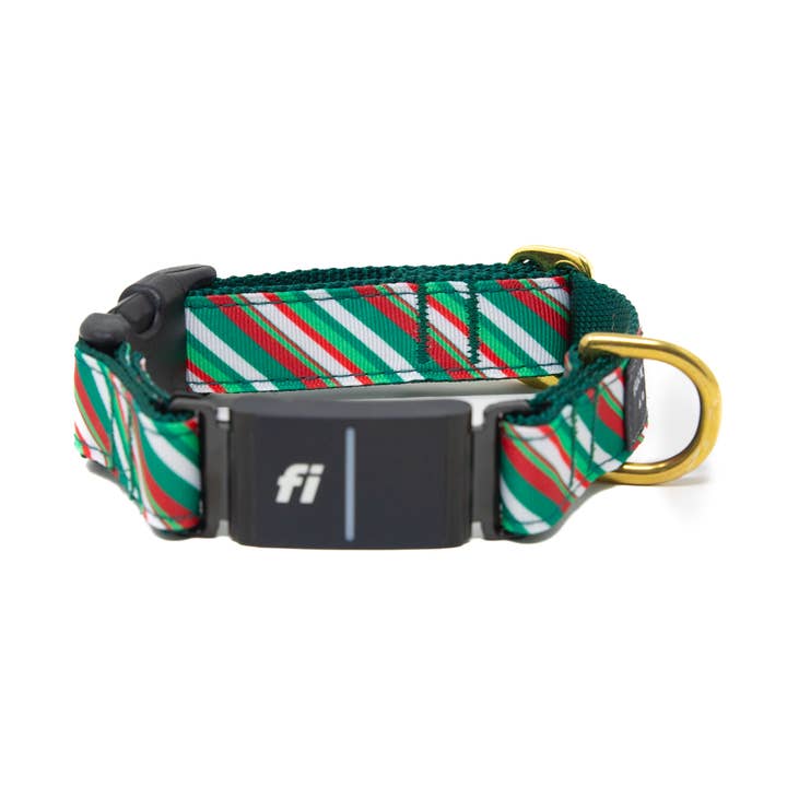 Fi Collar Band - Wonderland Stripe for wholesale by LUCKY + DOG