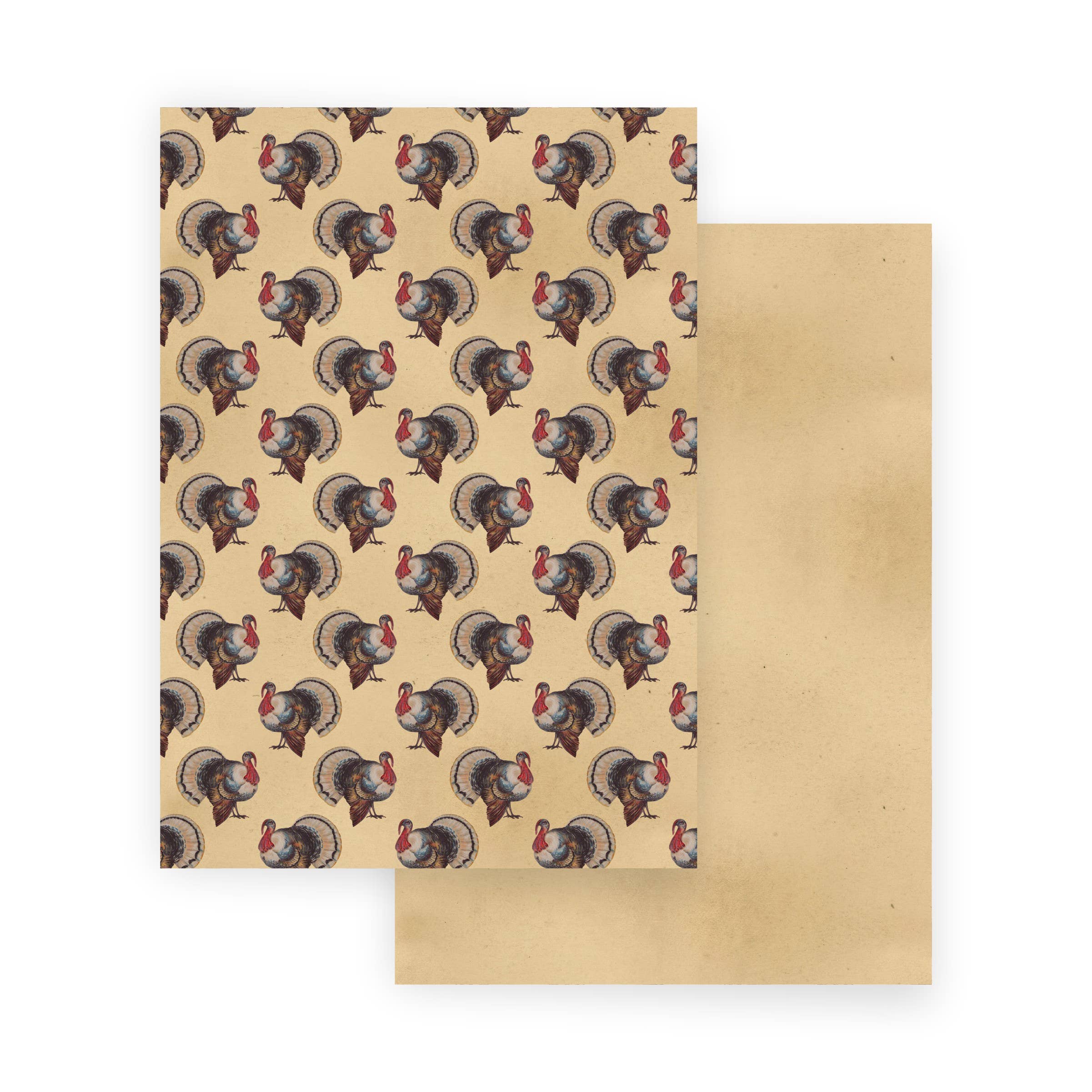 European Excellency - Wholesale Scrapbook - Scrapbooking Paper - Vintage Patterns32