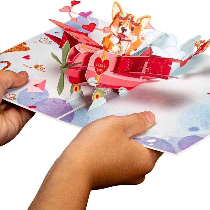 Paper Love - Wholesale Valentine's Day card - Dog Biplane - Frndly Pop Up Card 8"x6"3