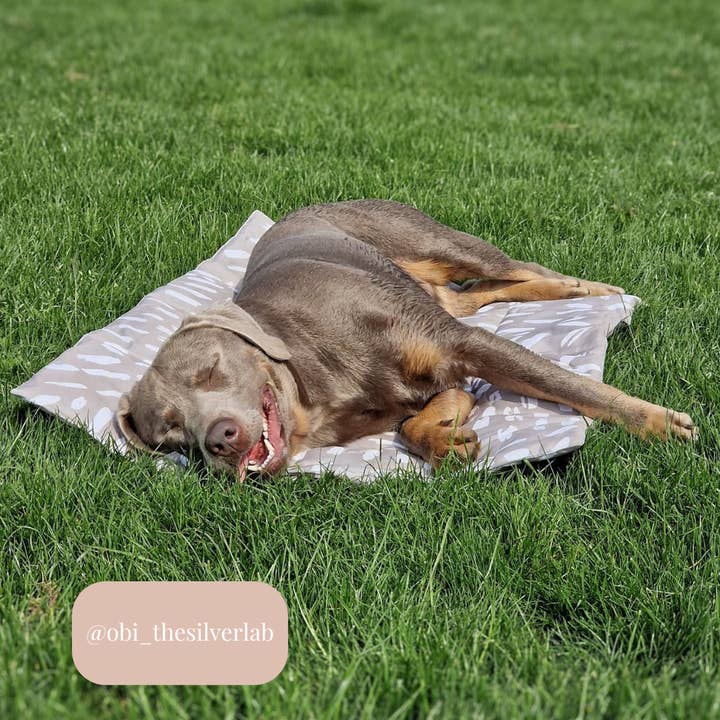 Bramble & Co – wholesale Matta - Hund – Resematta - Känslorna Neutrala