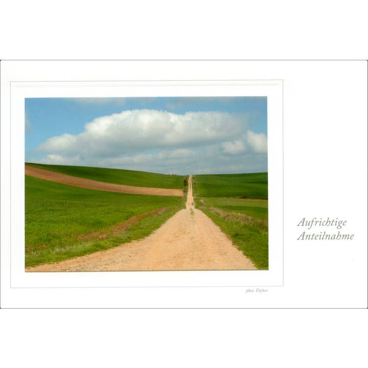 cartão de simpatia por atacado de Defner Photo Verlag seit 1919