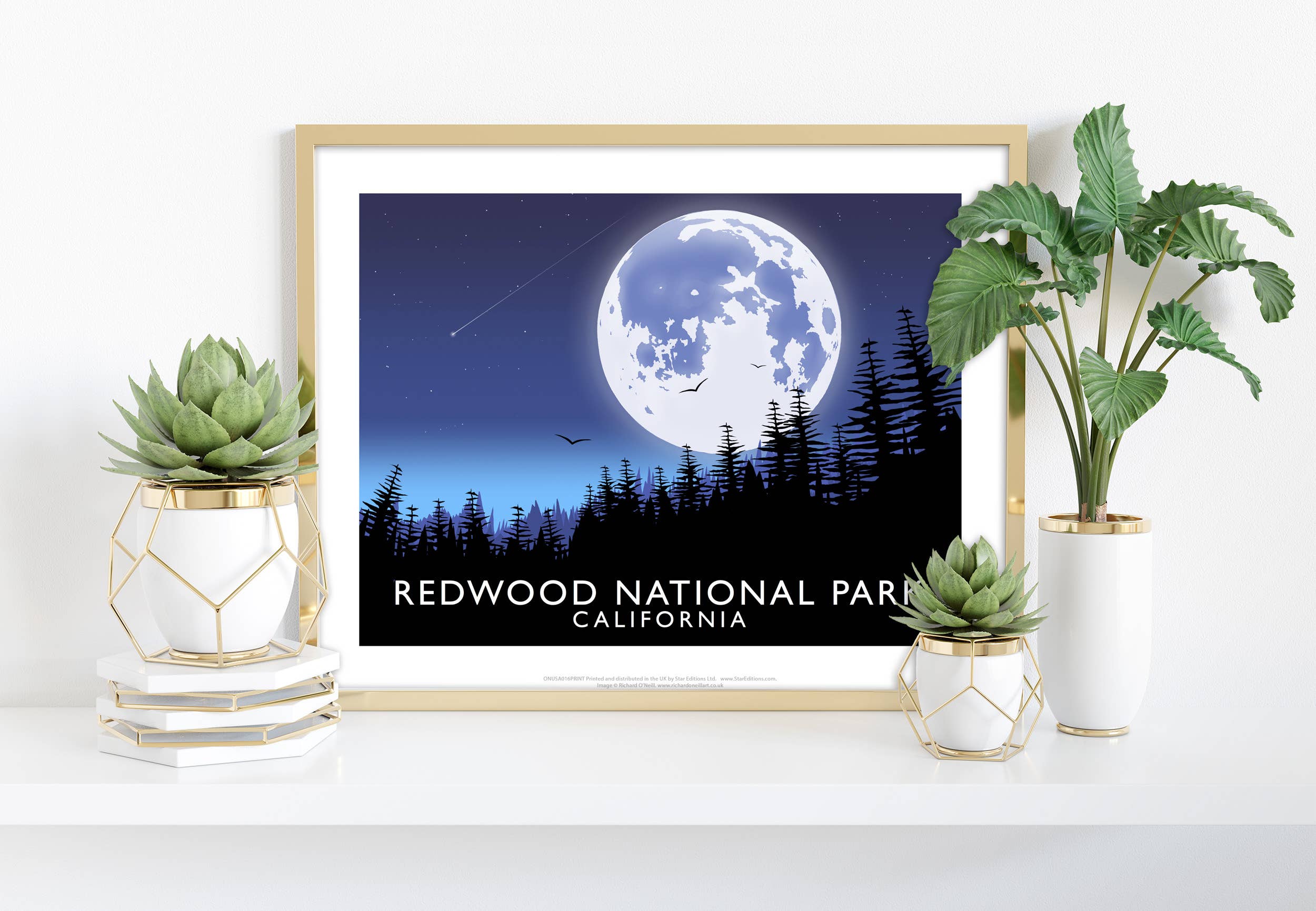 Star Editions - Wholesale Art Print - Redwood National Park, California -Richard O'Neill Art Print0