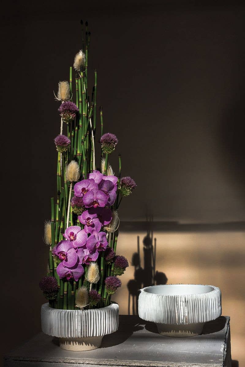 Auden & Avery - Wholesale Decorative Plate/Dish/Bowl - Grayton Compote Bowl - Large1