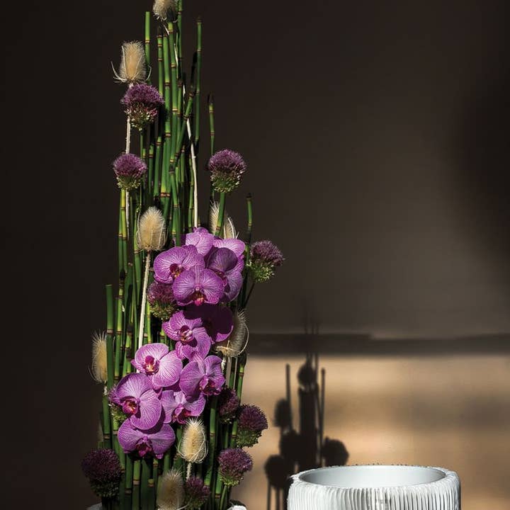 Auden & Avery - Wholesale Decorative Plate/Dish/Bowl - Grayton Compote Bowl - Large1