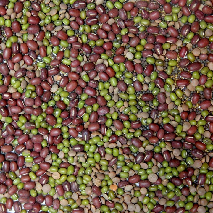 Sproutman - Wholesale Plant Seeds - Organic Beans + Greens Sprouting Seed3