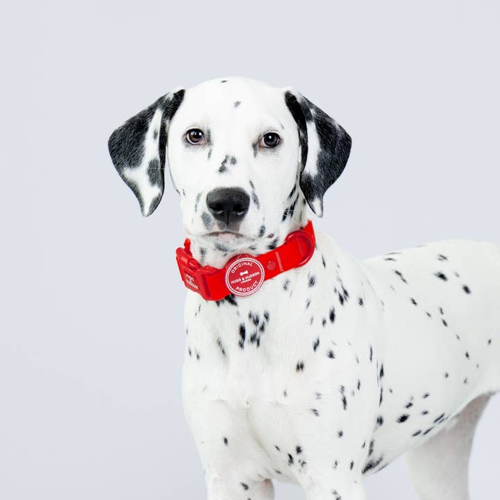 Hugo & Hudson – coleira - Cão por atacado – Coleira Impermeável para Cão - Vermelha1