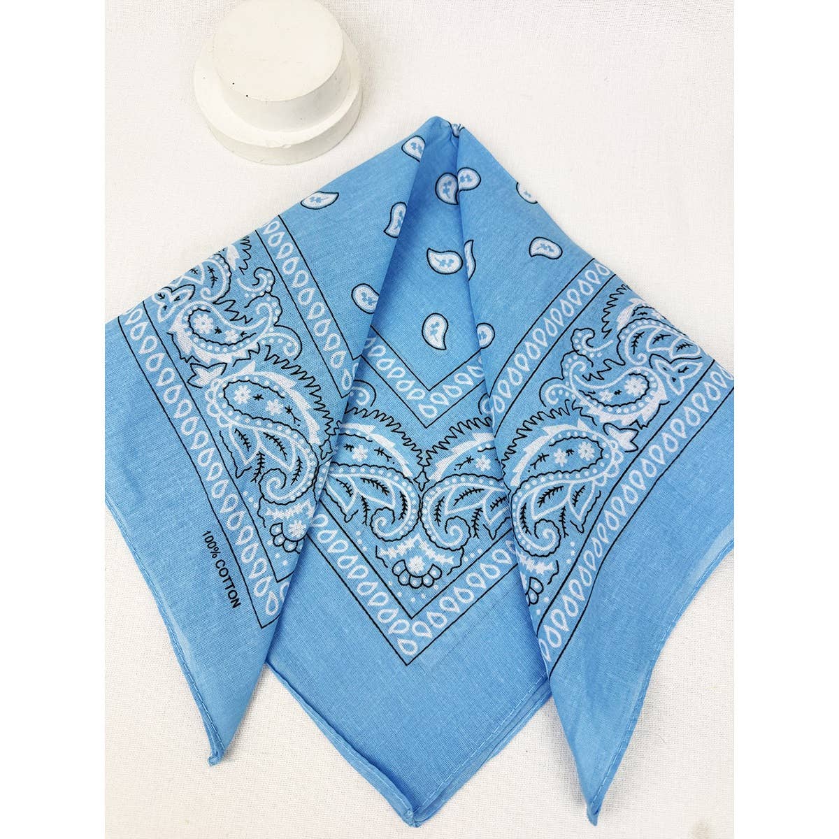 SKY BLUE Pasley Pattern Bandanas for wholesale on Faire3